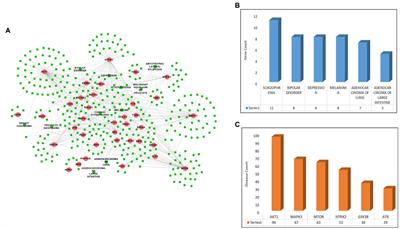 Network-based approach for targeting human kinases commonly associated with amyotrophic lateral sclerosis and cancer